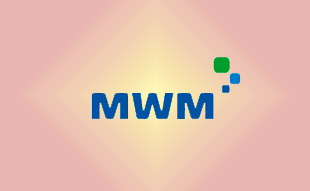 ✓ MWM 0292 3613 Запчасть MWM 